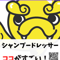 シャンプードレッサーのココがすごい！